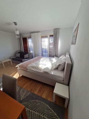 Spacious studio apartment in city center Tallinn, Tallinn (photo 5)