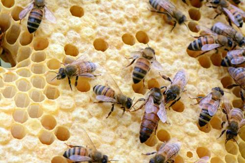 Romitorio di Castiglione del Lago