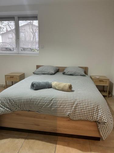 1 double bed, 1 sofa bed