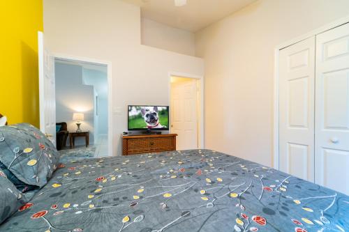 16150EGRET- Sun Chaser (S) - image 11