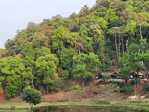 Three Hills Resort Coorg photo 3
