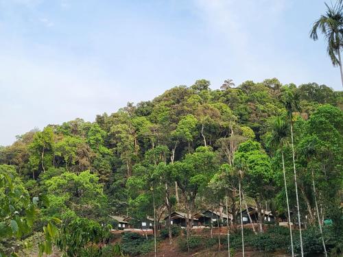 Three Hills Resort Coorg photo 4