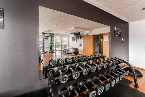 PLAZA INN Heilbronn - 피트니스 센터