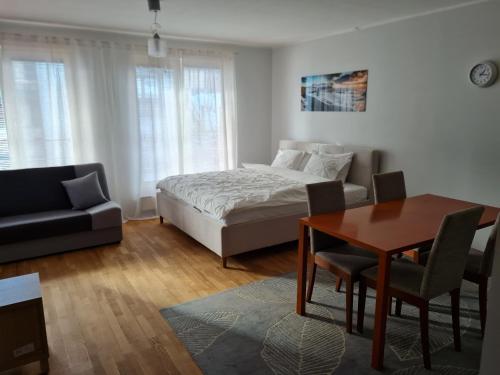 Spacious studio apartment in city center Tallinn, Tallinn (photo 6)