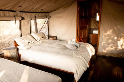 Pokój gościnny, Nhoma Safari Camp in Tsumkwe