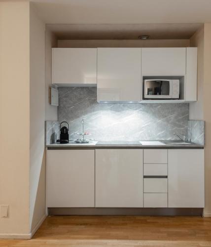 One-Bedroom Apartment image 4