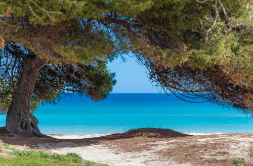 Countess Garden F in Alcudia Beach