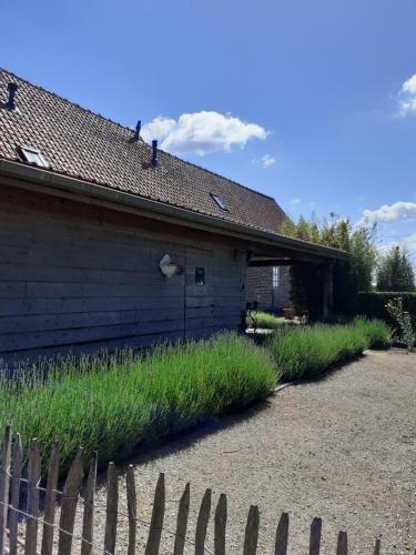 B&B In 't Stille Weg - image 12