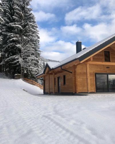  Blockhaus Waldspiel, Pension in Ratten bei Breitenbrunn