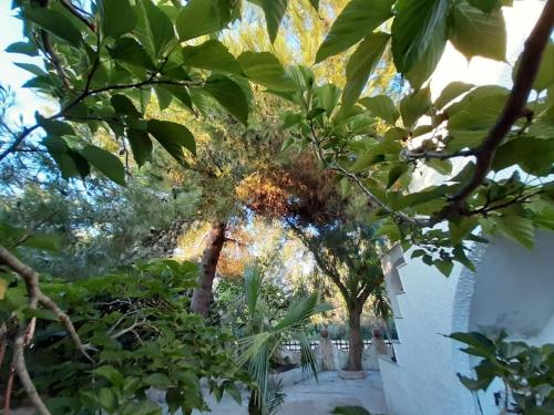  Villa Leda Mancaversa - CIS LE07508591000011672 in Marina di Mancaversa