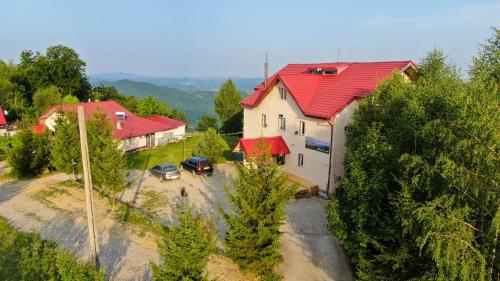 Pensiune Runcu Stone - Hotel - Runcu