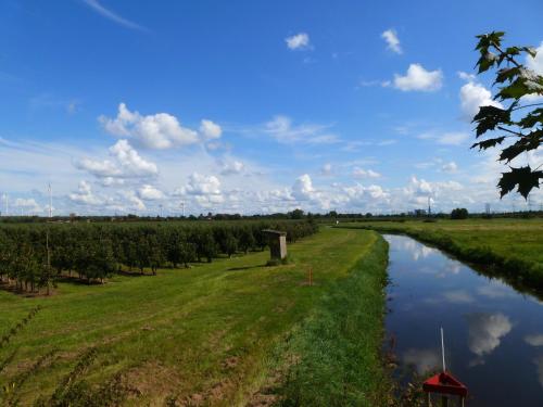 Fewo im Alten Land, Hamburk (fotografie 7)