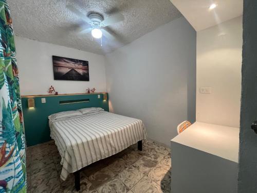 Nómadas Hostel, La Paz (fotografie 7)