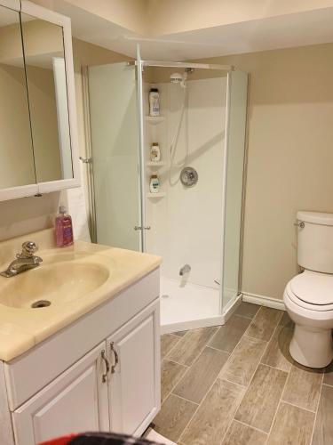 Beautiful one bedroom apartment