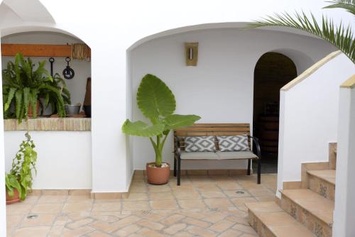 Apartment with Terrace image 6