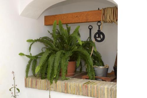 Apartment with Terrace image 3