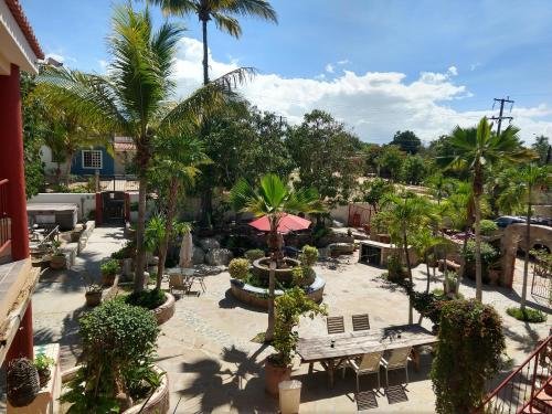 Garden, Hacienda De Palmas in La Ribera