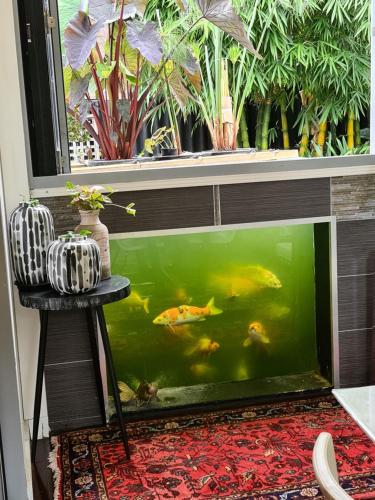 Bamboo House, Close to the City & Airport & Train station and Brighton Le Sands Beach