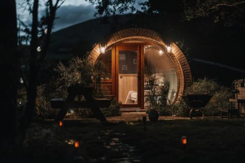 Panteg gîte à louer Llanarmon-Mynydd-mawr