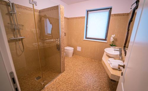 443019393 Gradinile Romane