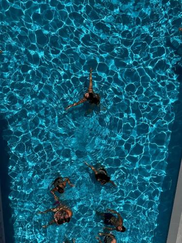 Hotel Ardea - image 13