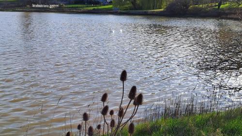 Sandown on The Creek