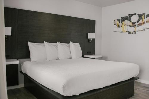 Bears Ears Inn - image 3