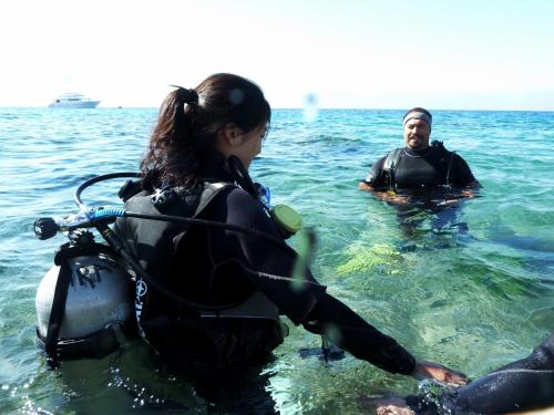 インターナショナル アラブ ダイバーズ ヴィレッジ