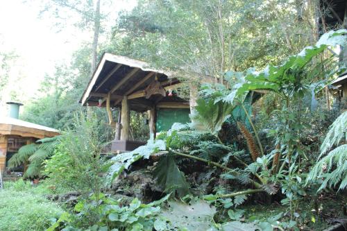 Valle el Abra Ralún Lodge