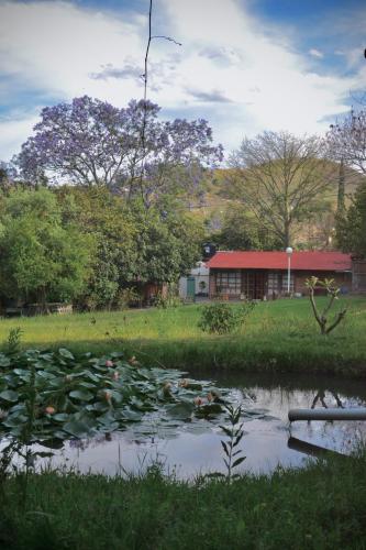 View, Cocuyo Glamping in Santo Domingo Barrio Alto