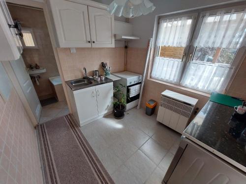 Dizike Pet-friendly Guesthouse, Budapeszt (zdjęcie 9)