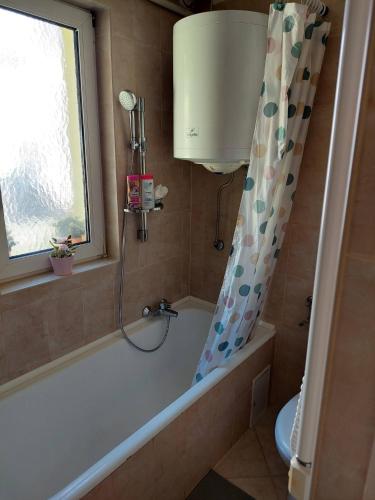Dizike Pet-friendly Guesthouse, Budapeszt (zdjęcie 4)