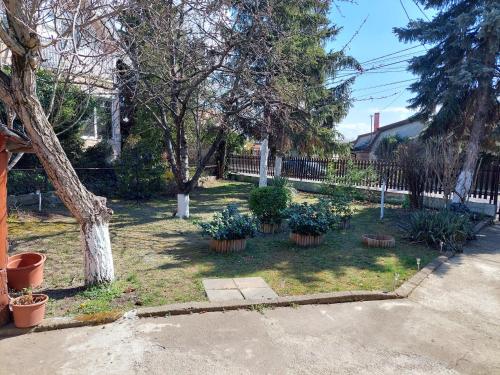Dizike Pet-friendly Guesthouse, Budapeszt (zdjęcie 8)