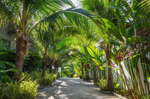 Amadha Villas Retreat - Free Tuk-Tuk Service To the Beach