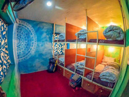 Bed in 6-Bed Mixed Dormitory Room