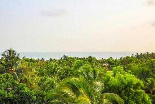 Namaka, Morjim and Ashwem Beach 300m away, Morjim (foto 10)
