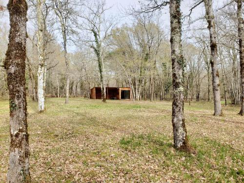 Chambre en foret