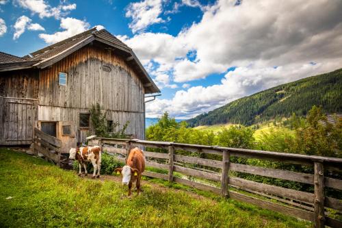 Ferienhaus Sonnenseite