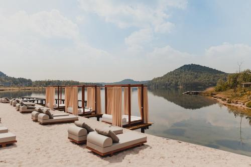 Terhills Resort by Center Parcs in Dilsen Stokkema