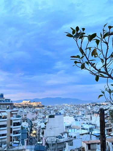 sky inn with wonderful Acropolis view in Neos kosmos, Ateny