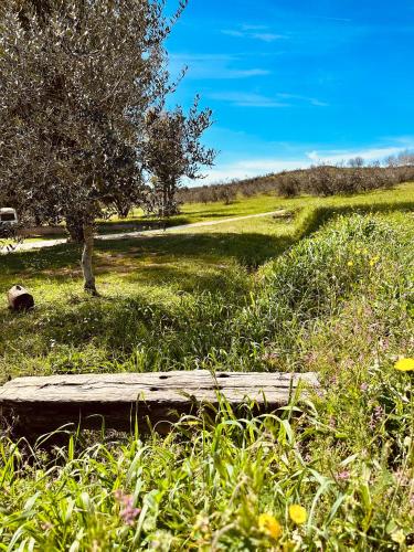 Agricampeggio La Piaggia - Agriturismo