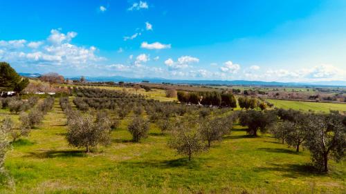 Agricampeggio La Piaggia - Agriturismo