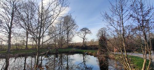 Létesítmények, Kingfisher Cabin - Wild Escapes Wrenbury off grid glamping - ages 12 and over in Wrenbury