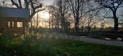 A környék, The Willow Cabin - Wild Escapes Wrenbury off grid glamping - ages 12 and over in Wrenbury