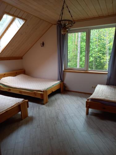 Lesnoj holiday in Antakalnis