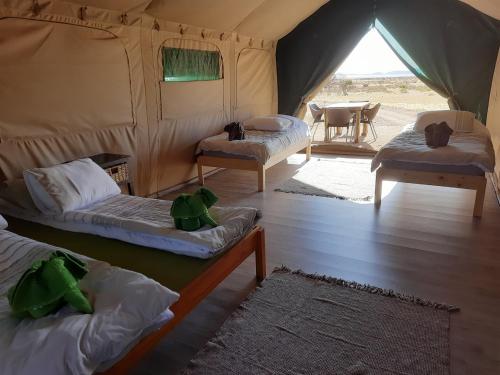 Camp Gecko - PRIVATE NATURE RESERVE; TENTED CAMP AND CAMPSITE in סוליטר
