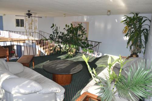 Red Carpet Inn and Suites Ebensburg - 로비