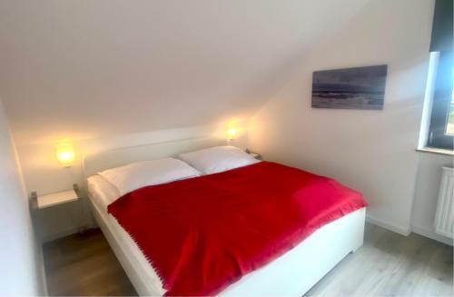 1032 Lachmöwe in Dahme, Deutschland