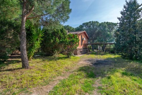 Villa Pini 1 km da Chia . 3 camere . BBQ . A/C