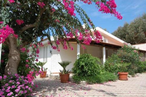  Villetta Barbieri lato terra in Mandaradoni